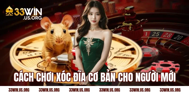 Cách chơi xóc đĩa cơ bản cho người mới