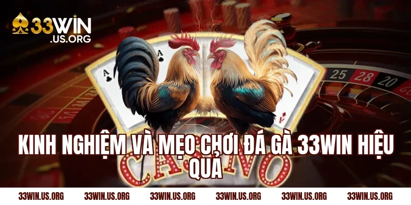 Kinh nghiệm và mẹo chơi đá gà 33win hiệu quả