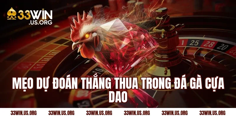 Mẹo dự đoán thắng thua trong đá gà cựa dao