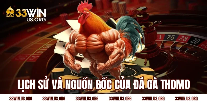 Lịch sử và nguồn gốc của đá gà Thomo