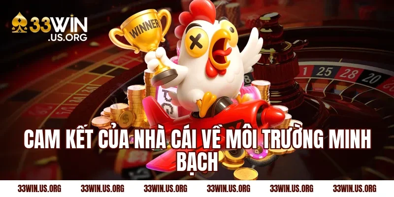 Cam kết của nhà cái về môi trường minh bạch